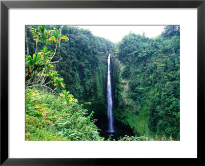 Waterfall In Akaka Falls State Park, United States Of America by Chris Mellor Pricing Limited Edition Print image