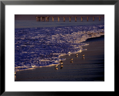 Surf Chasing Birds On Beach At Hermosa Beach by Christina Lease Pricing Limited Edition Print image