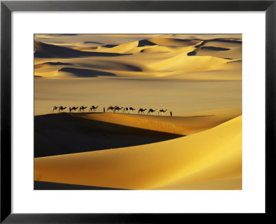 Tuareg Nomads With Camels In Sand Dunes Of Sahara Desert, Arakou by Johnny Haglund Pricing Limited Edition Print image