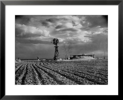 Picture From The Dust Bowl,With Deep Furrows Made By Farmers To Counteract Wind by Margaret Bourke-White Pricing Limited Edition Print image