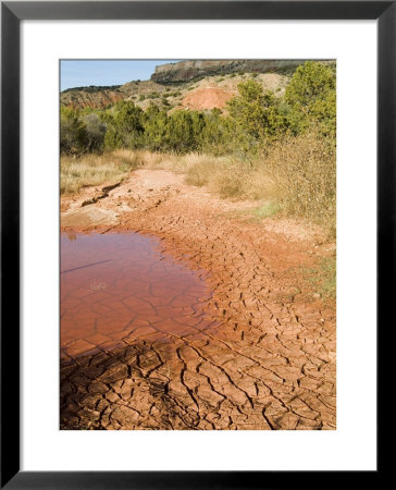 Palo Duro State Park, Near Amarillo, Texas, Usa by Ethel Davies Pricing Limited Edition Print image