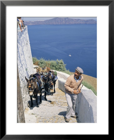 Animal Transport, Santorini (Thira), Cyclades Islands, Greek Islands, Greece by Michael Short Pricing Limited Edition Print image