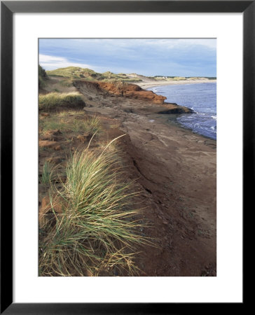 Cavendish Coast, Prince Edward Island, Canada by Alison Wright Pricing Limited Edition Print image