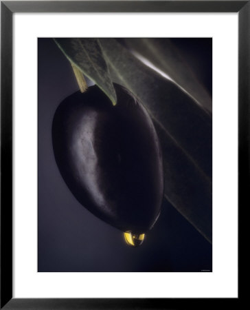 A Black Olive On A Toothpick, Olive Oil by Jo Van Den Berg Pricing Limited Edition Print image