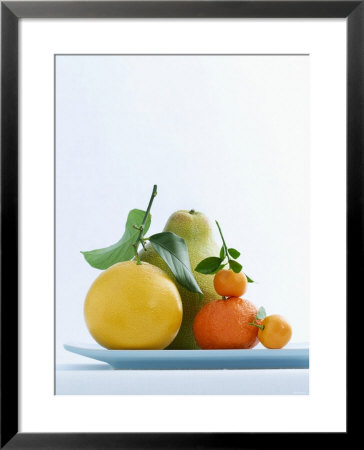 Still Life With Citrus Fruits by Armin Zogbaum Pricing Limited Edition Print image