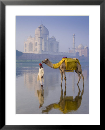 Camal And Driver, Taj Mahal, Agra, Uttar Pradesh, India by Doug Pearson Pricing Limited Edition Print image