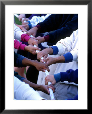 Multiracial Team Playing Tug Of War, Portland, Oregon by Kate Thompson Pricing Limited Edition Print image