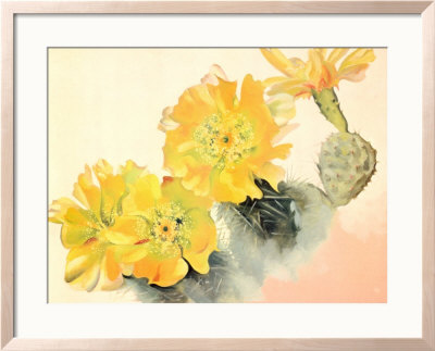 Yellow Cactus by Georgia O'keeffe Pricing Limited Edition Print image