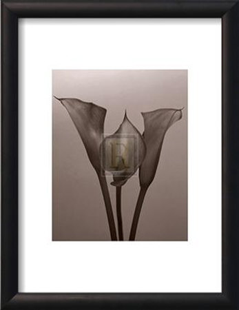 Lily Ii by Bill Philip Pricing Limited Edition Print image