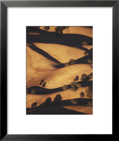 Convoluted Hills by Barrie Rokeach Pricing Limited Edition Print image