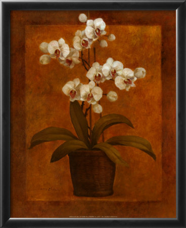 Potted Orchid by T. C. Chiu Pricing Limited Edition Print image