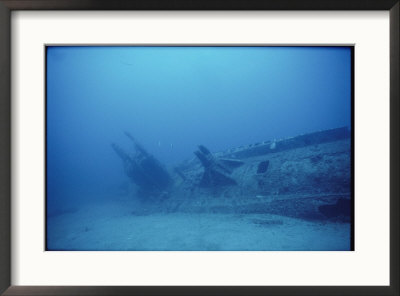 The Remains Of A German U-Boat by Brian J. Skerry Pricing Limited Edition Print image