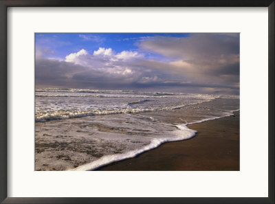 The Oregon Coast by Paul Nicklen Pricing Limited Edition Print image