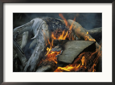 Driftwood Campfire, Clayoquot Sound, Vancouver Island by Joel Sartore Pricing Limited Edition Print image