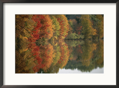 Fall Foliage Around Churchill Lake Is Reflected In The Still Water by Brian Gordon Green Pricing Limited Edition Print image