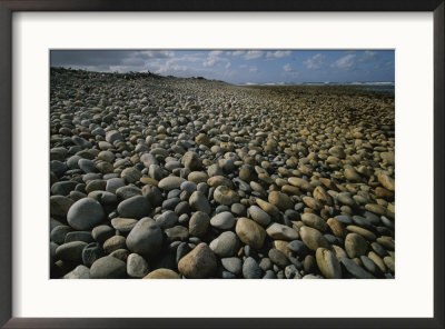 Stones Line A Beach On New Zealands South Island by Annie Griffiths Belt Pricing Limited Edition Print image