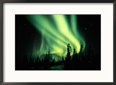 Northern Lights by Norbert Rosing Pricing Limited Edition Print image