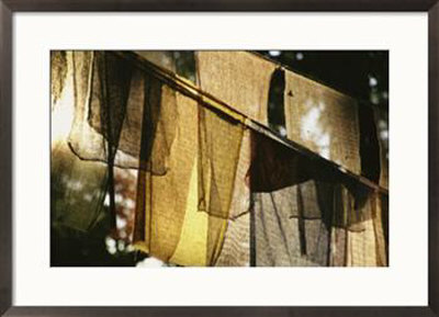 Sunlight Filters Through Prayer Flags Hanging In Kathmandu by Michael Melford Pricing Limited Edition Print image