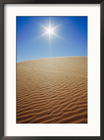 The Sun Beats Down On A Sand Dune by Jason Edwards Pricing Limited Edition Print image