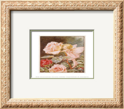 The Rose Fairy by Cicely Mary Barker Pricing Limited Edition Print image