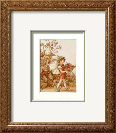 The Strawberry Fairy by Cicely Mary Barker Pricing Limited Edition Print image