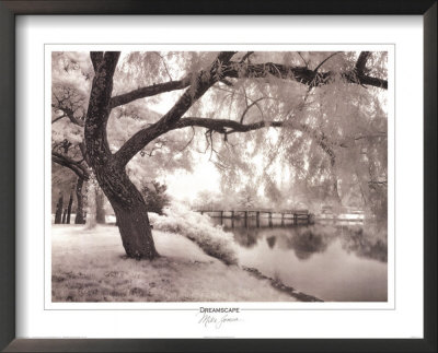 Dreamscape by Mike Jones Pricing Limited Edition Print image