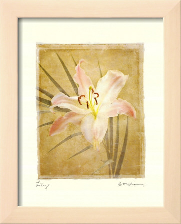 Lily by Amy Melious Pricing Limited Edition Print image