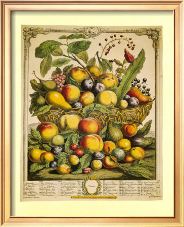 Fruits Of The Season Summer by Robert Furber Pricing Limited Edition Print image