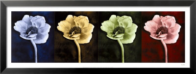 Anemone by Christine Zalewski Pricing Limited Edition Print image