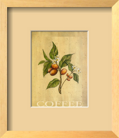 Coffee Bean by Renee Bolmeijer Pricing Limited Edition Print image