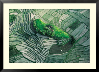 Ilot Dans Les Rizieres En Terrasse De Bali by Yann Arthus-Bertrand Pricing Limited Edition Print image