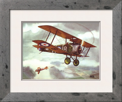 Sopwith Camel, 1917 by Alfred Owles Pricing Limited Edition Print image