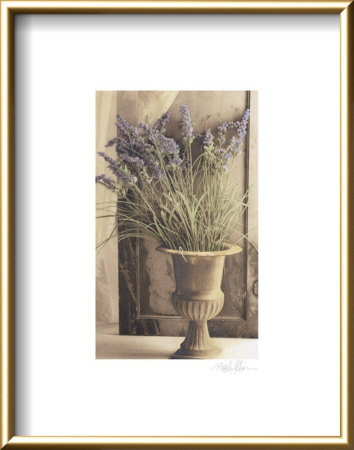 Lilac by Rhonda Addison Pricing Limited Edition Print image