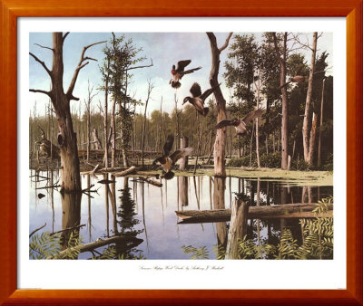 Summer Refuge, Wood Ducks by Anthony J. Rudisill Pricing Limited Edition Print image
