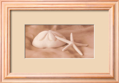 Shell Sonnet L by Judy Mandolf Pricing Limited Edition Print image