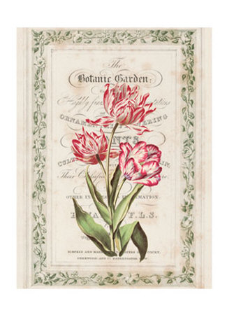 Botanical Garden by Zachary Alexander Pricing Limited Edition Print image