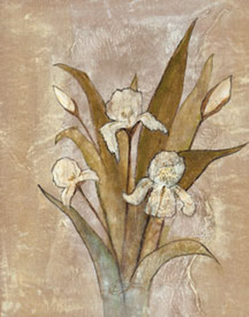 Summer Iris Ii by Laurie Fields Pricing Limited Edition Print image