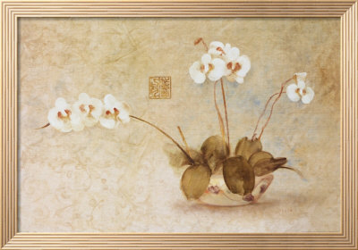 Orchids In A Chinese Bowl by Cheri Blum Pricing Limited Edition Print image