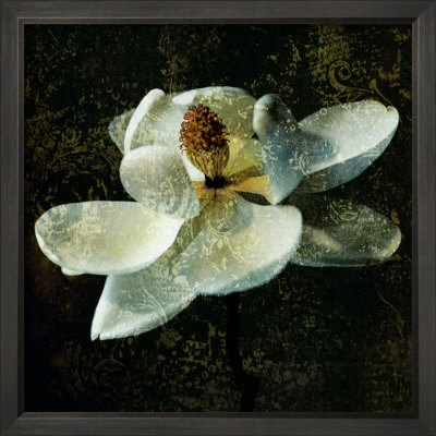 Magnolia Ii by John Seba Pricing Limited Edition Print image