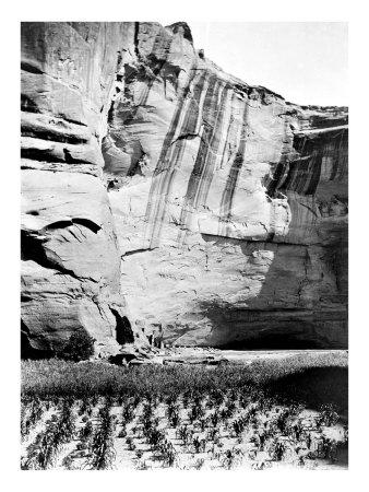 Navajo Farming by Edward S. Curtis Pricing Limited Edition Print image