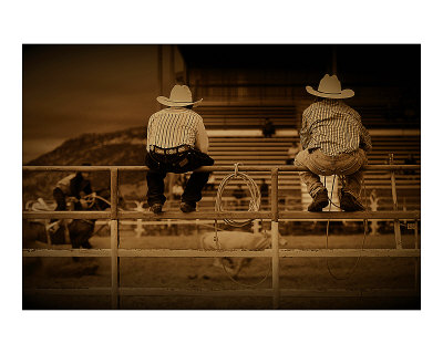 Cowboy Calf Roping by Jim Tunell Pricing Limited Edition Print image