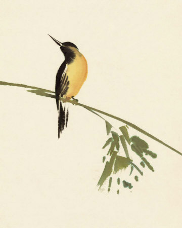Bird by Aurore De La Morinerie Pricing Limited Edition Print image