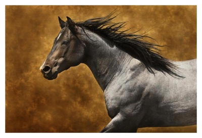 Here Comes Yuma by Robert Dawson Pricing Limited Edition Print image