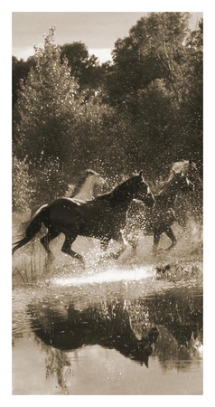 Horse Crossing Iii by Robert Dawson Pricing Limited Edition Print image
