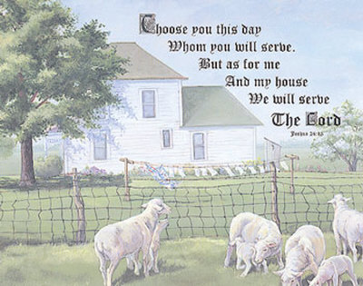 Spring Sheep by Sheri Clingan Pricing Limited Edition Print image