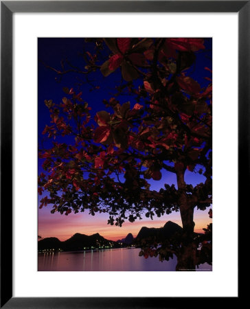 Sugar Loaf, Guanabara Bay, Rio De Janeiro by Silvestre Machado Pricing Limited Edition Print image