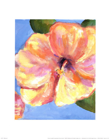 Hibiscus I by Paris Gerrard Pricing Limited Edition Print image