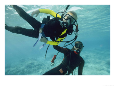 A Diver Teaches A Boy How To Dive by Bill Curtsinger Pricing Limited Edition Print image