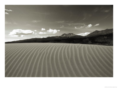 Rows Of Sand Dunes Stretch Toward The Mountains In Alaska by Barry Tessman Pricing Limited Edition Print image