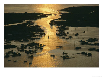 Aerial Shot, Tangier Island, Chesapeake Bay, Virginia by Skip Brown Pricing Limited Edition Print image